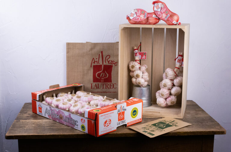 Ail Rose De Lautrec Vente En Ligne